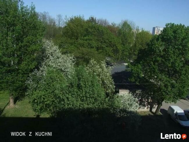 Sprzedam mieszkanie w Łodzi - Kniaziewicza