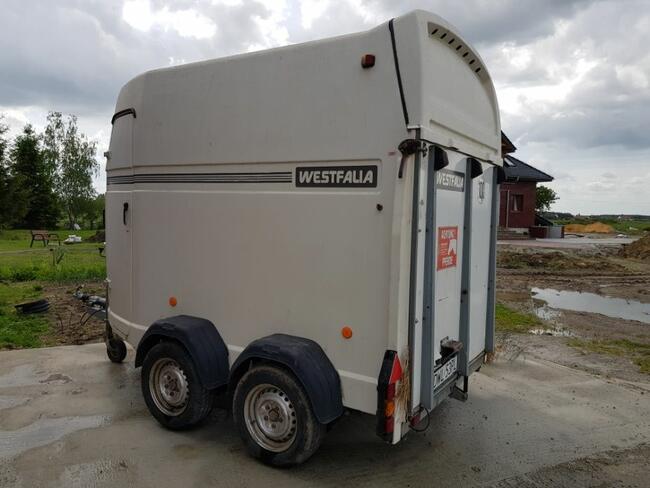 Przyczepa dla Koni Bukmanka Wynajem Wrocław Brzeg Dolny