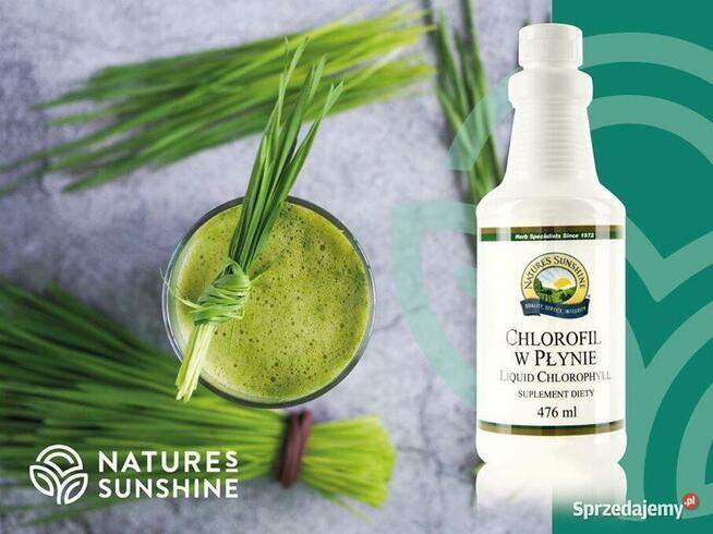 Odkryj prawdziwa sile natury