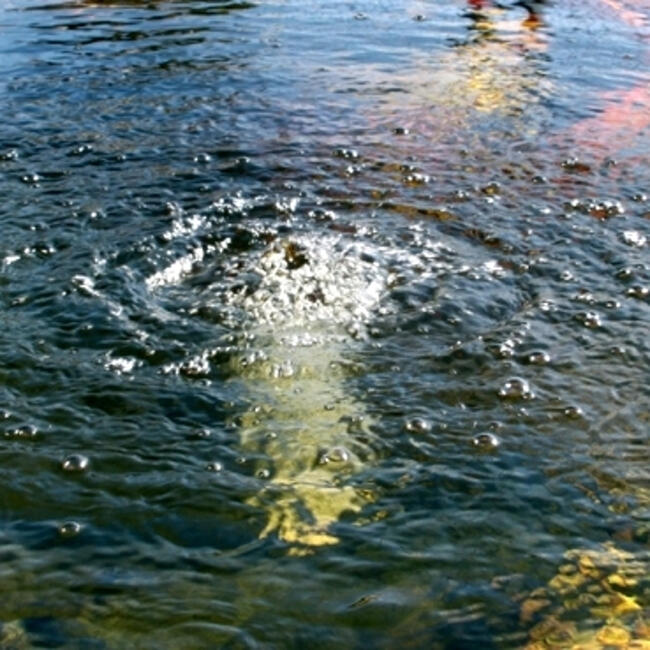 Napowietrzacz solarny.Pompa Tlenu.Akumulator.Staw.Oczko wody