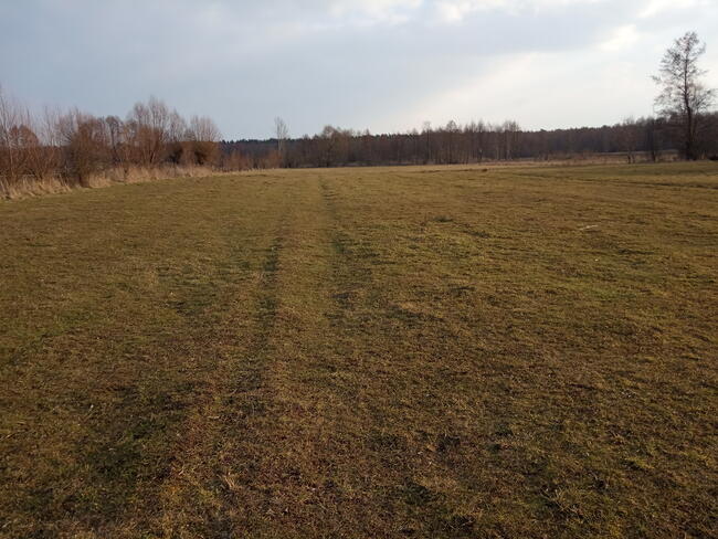 Sprzedam gospodarstwo rolne