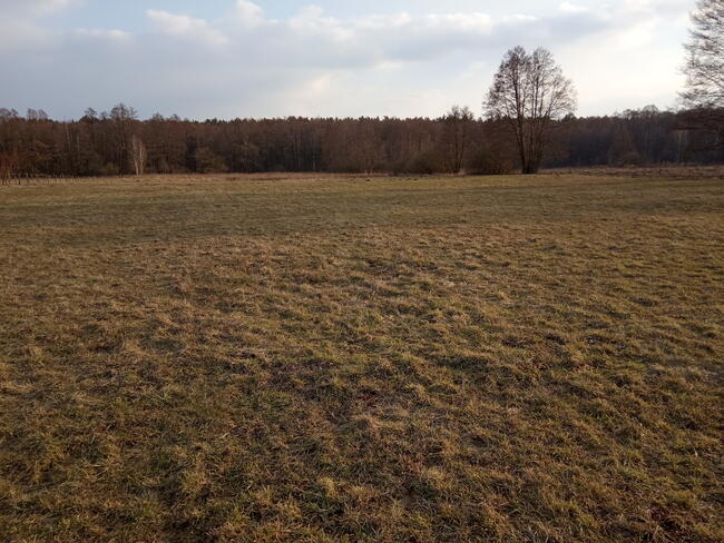 Sprzedam gospodarstwo rolne