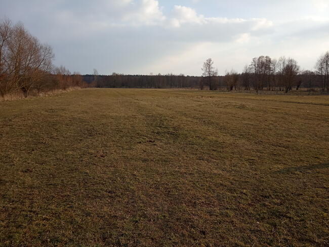 Sprzedam gospodarstwo rolne