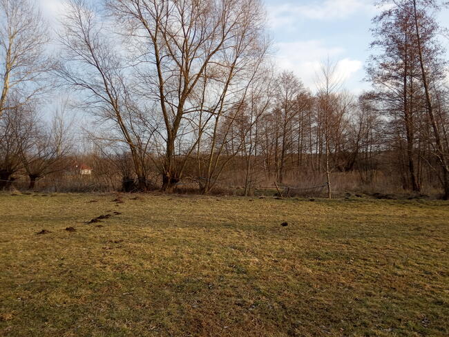 Sprzedam gospodarstwo rolne