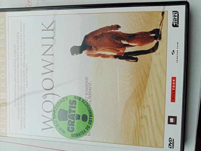 Sprzedam plyty DVD-REJS, MIS, SEKSMISJA, KINGSAJZ