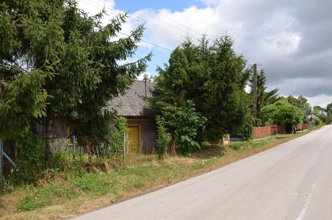 DZIAŁKA ROLNO-BUDOWLANA W GMINIE NOWY KORCZYN.