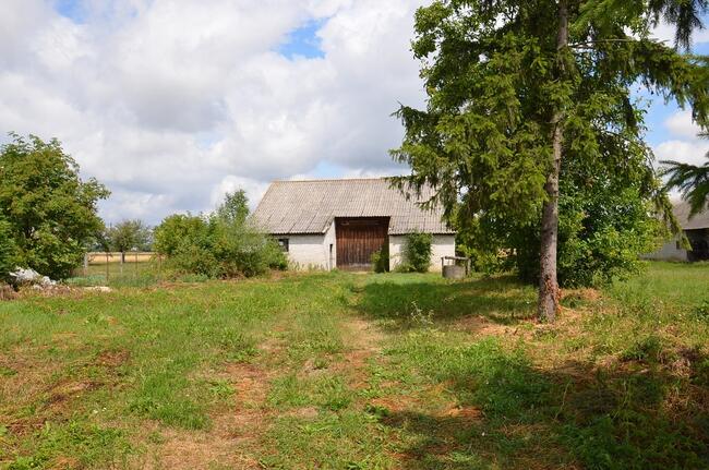 DZIAŁKA ROLNO-BUDOWLANA W GMINIE NOWY KORCZYN.