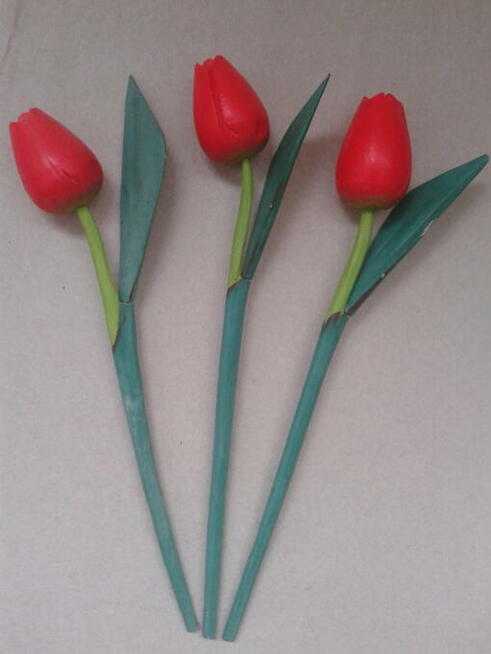 Czerwone Tulipany Drewno