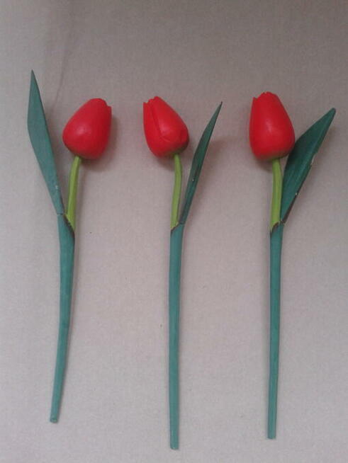 Czerwone Tulipany Drewno