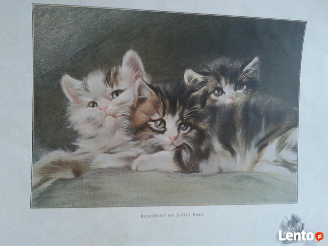 Stary obrazek papierowy Kotki