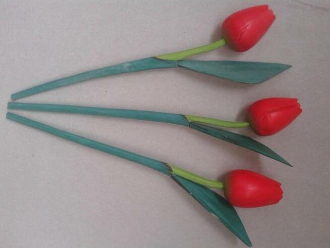 Czerwone Tulipany Drewno