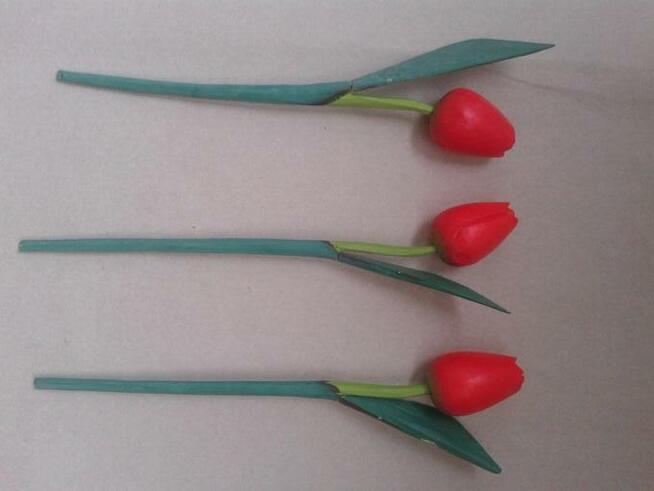 Czerwone Tulipany Drewno