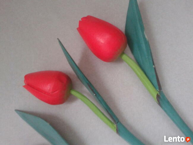 Czerwone Tulipany Drewno