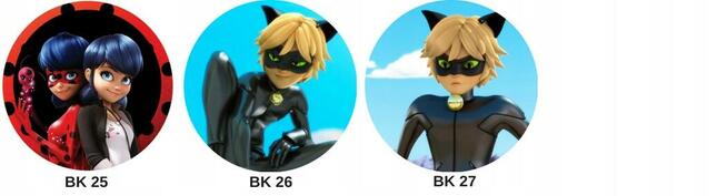 Opłatek na tort 20cm BIEDRONKA I CZARNY KOT różne wzory