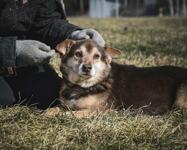 Czy jego karmelowe oczy sprawią, że się zakochasz?