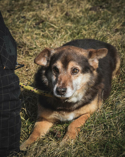 Czy jego karmelowe oczy sprawią, że się zakochasz?