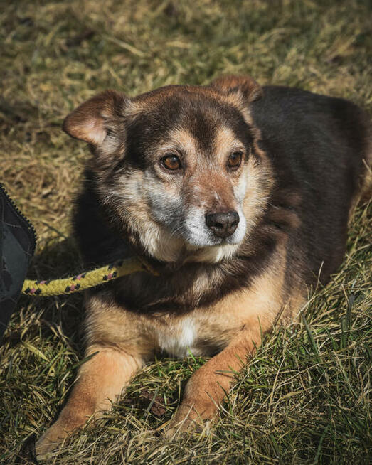 Czy jego karmelowe oczy sprawią, że się zakochasz?