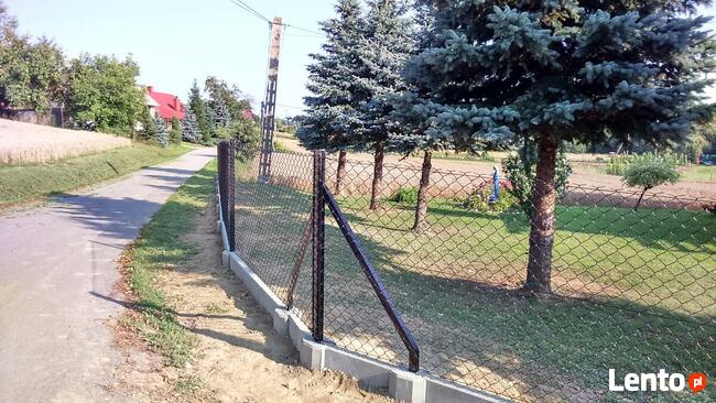 Montaż ogrodzeń i malowanie Ogrodzenie
