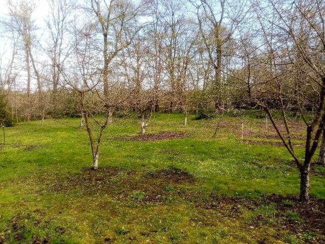 Dom z zabudowaniami gospodarczymi 1 km od Nysy