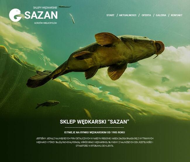 Projektowanie i tworzenie stron internetowych