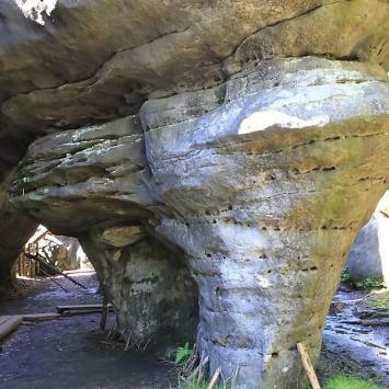 Wycieczki Szkolne-Zjazdy w villasol obok Polanicy-Zdroju