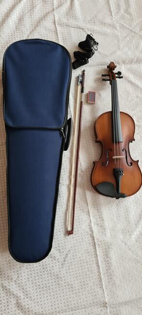 SKRZYPCE różne rozmiary ZAPRASZAM i POLECAM