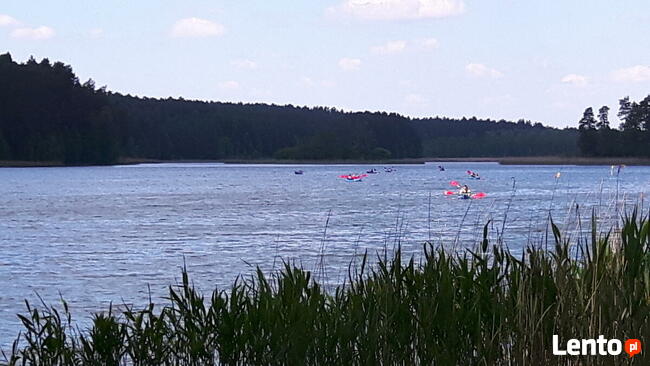 Wynajem Busów z kierowcą