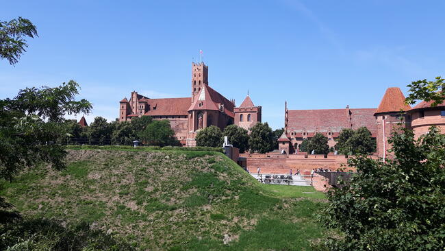 Wynajem Busów z kierowcą