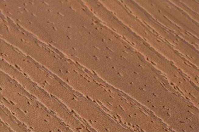 Deska elewacyjna kompozytowa 3D 116x25,5x2900mm