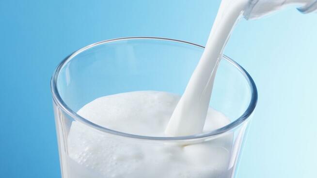 Dojarka konwiowa przewoźna dla krów, krowy, bydła