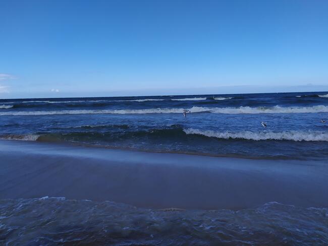 Wynajem Busów z kierowcą