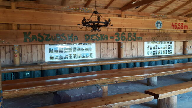 Wynajem Busów z kierowcą