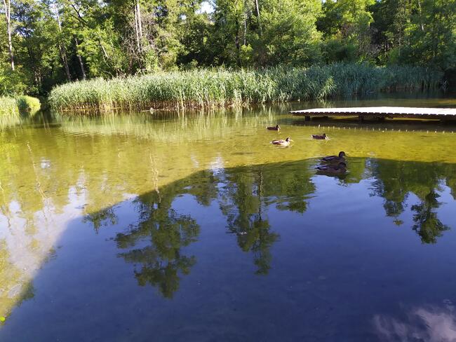 Wynajem Busów z kierowcą