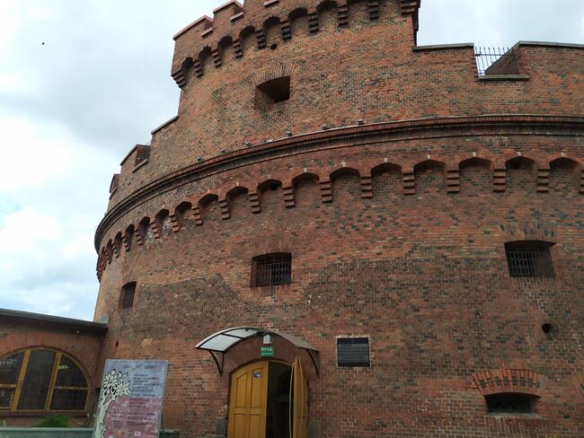 Wynajem Busów z kierowcą