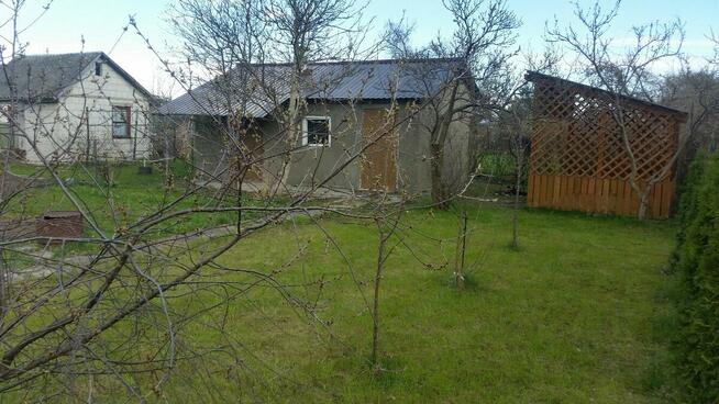 Działka ROD Czeczotka z domkiem i altanka