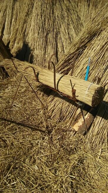Trzcina dachowa strzecha snopeczki na dach