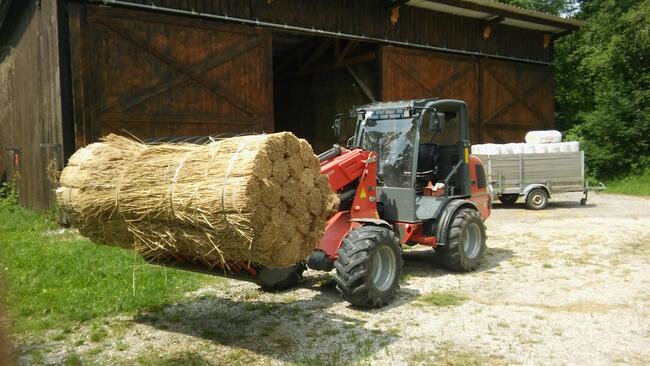 Trzcina dachowa strzecha snopeczki na dach