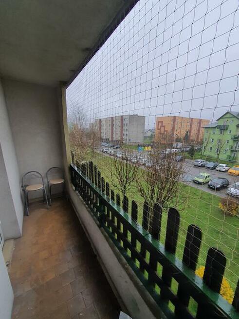 Montaż kolców przeciw ptakom