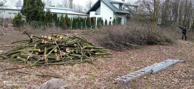 Wycinka drzew i prace ogrodowe- Zgierz i okolice. BanGarden