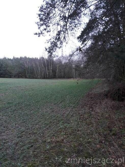 Na sprzedaz działkaw okolicy BRZEZIN