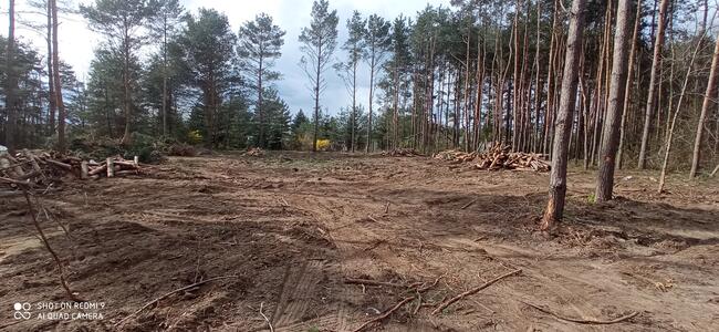 Wertykulacja, aeracja i koszenie trawników. BanGarden
