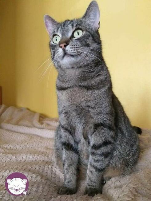 Wilga - pokocha Cię bezwarunkowo