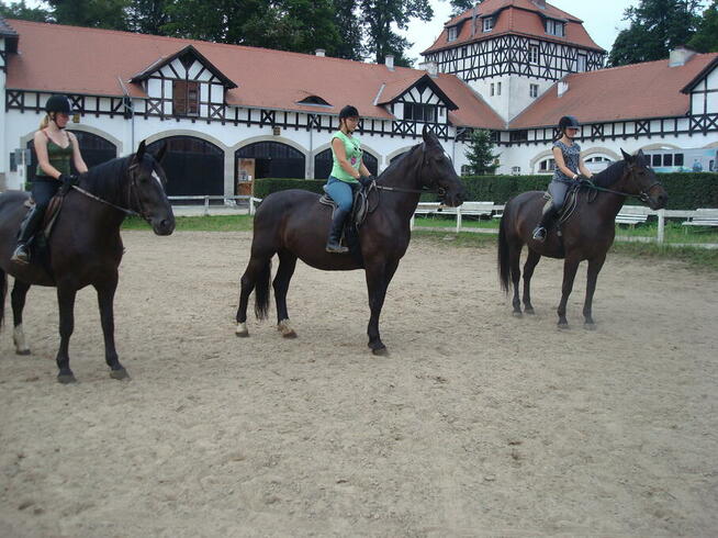 Letni Obóz Teatralny z jazdą konną i szermierką Zamek