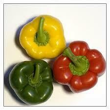 Pracownik produkcji - Holandia / 14.40 euro/h