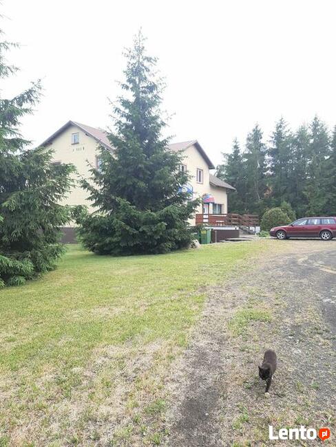 Dom do adaptacji po hoteliku