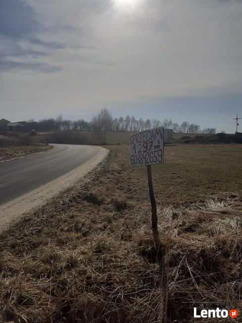 Działka na jurze Dzibice