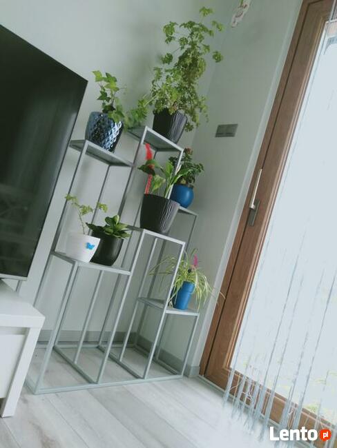 Bardzo Duży kwietnik stojak na kwiaty 6 stanowisk