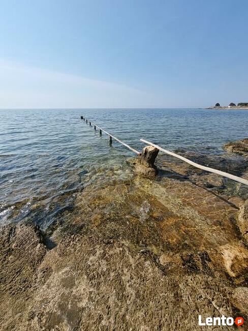 Umag Istria Chorwacja , Villa besporednio nad morze najom