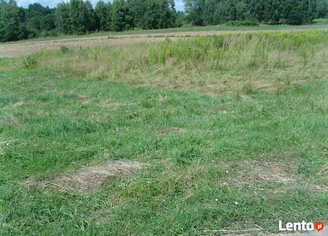 działka, Sędziszów Małopolski