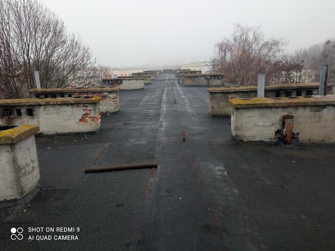 DEKARSKIE -PROFESIONALNE-USŁUGI